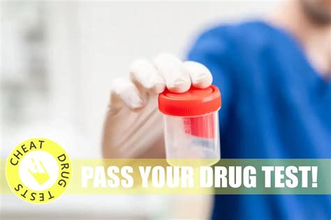 cheat a drug test bottle|how to beat a drug test fast.